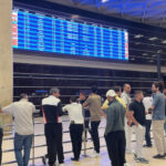 بين الأسعار المرتفعة والبحث عن البدائل: كيف يبدو موسم عيد الأضحى والصيف في 7 دول عربية؟